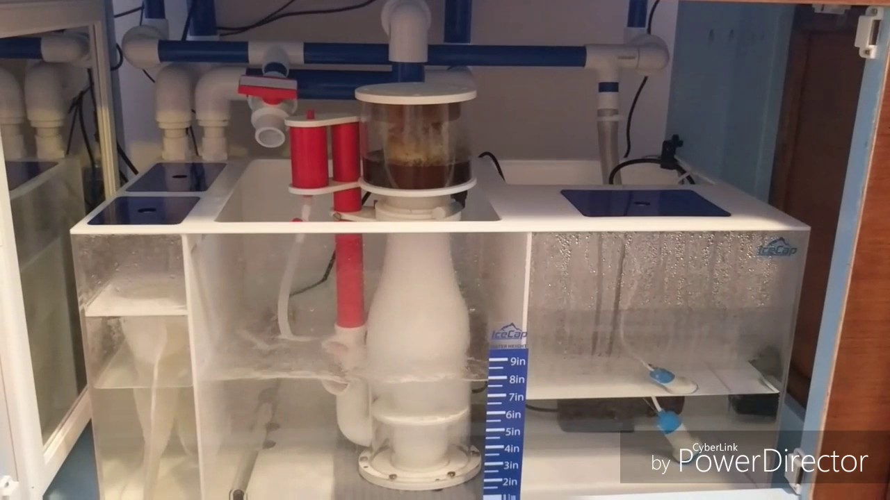 IceCap 36 Sump Update - 120 Gallon Aquarium Build