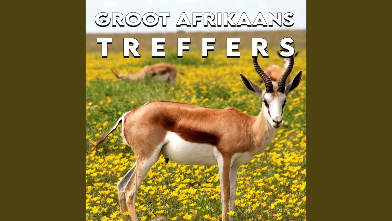 Vreemde Stad