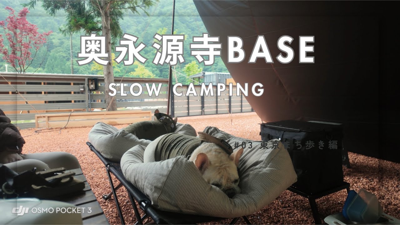 奥永源寺BASE/ 犬連れキャンプ/ 滋賀県
