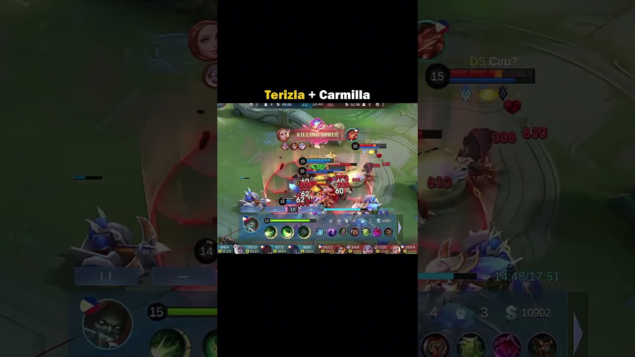 Terizla Carmilla combination