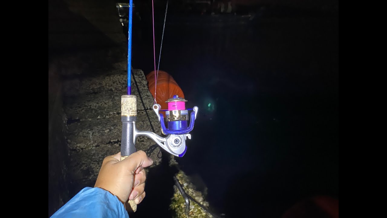 【配信】今夜は釣れそうな気がする配信