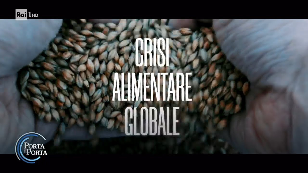 Crisi del grano, i Paesi a rischio carestia - Porta a porta 31/05/2022