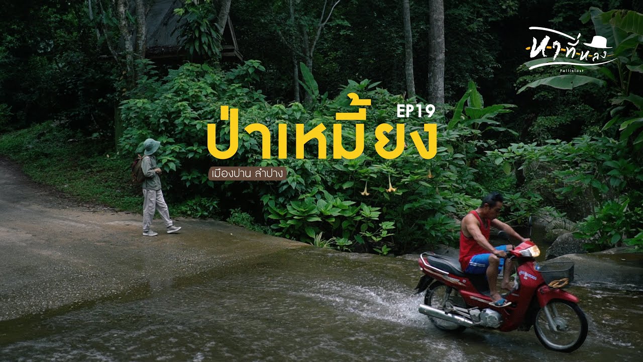 แบกเป้เที่ยวหมู่บ้านป่าเหมี้ยงคนเดียว หมู่บ้านเล็กๆกลางป่าใหญ่ | หาที่หลง Vlog19