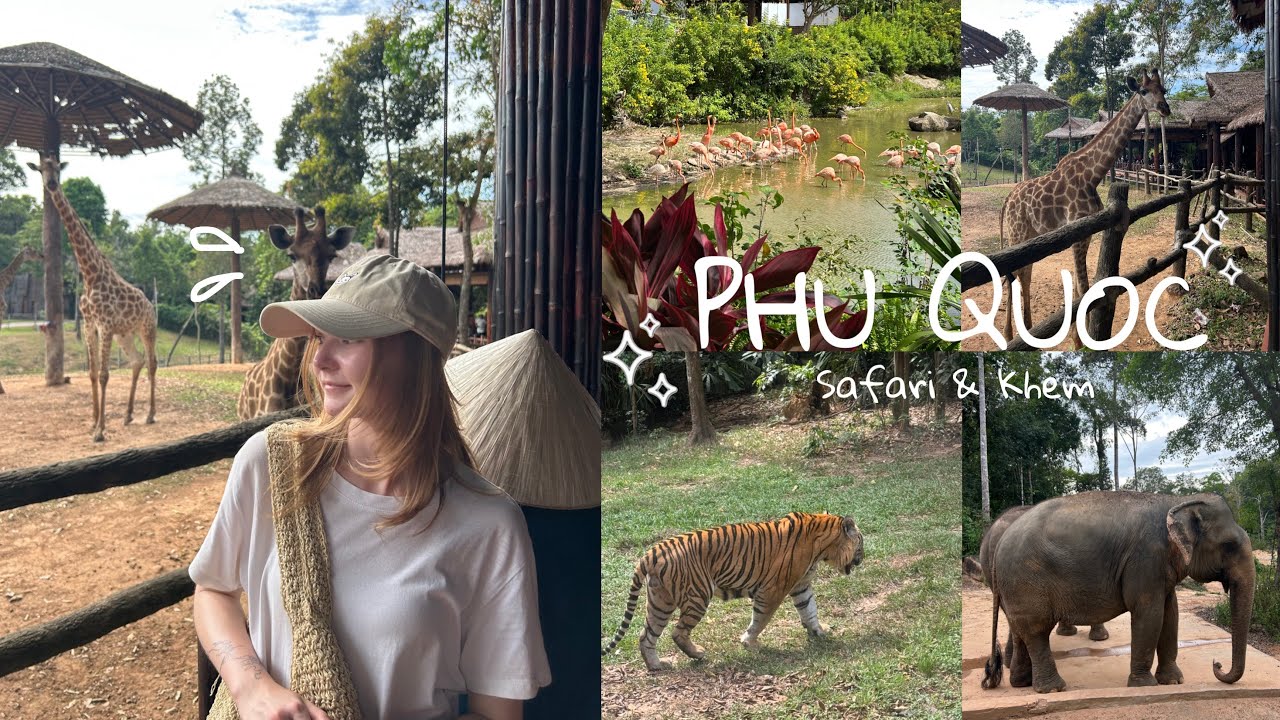 Phu Quoc vlog (part 2)