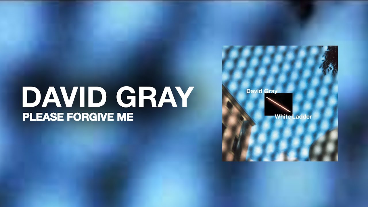 DAVID GRAY - Please Forgive Me (Official Audio)