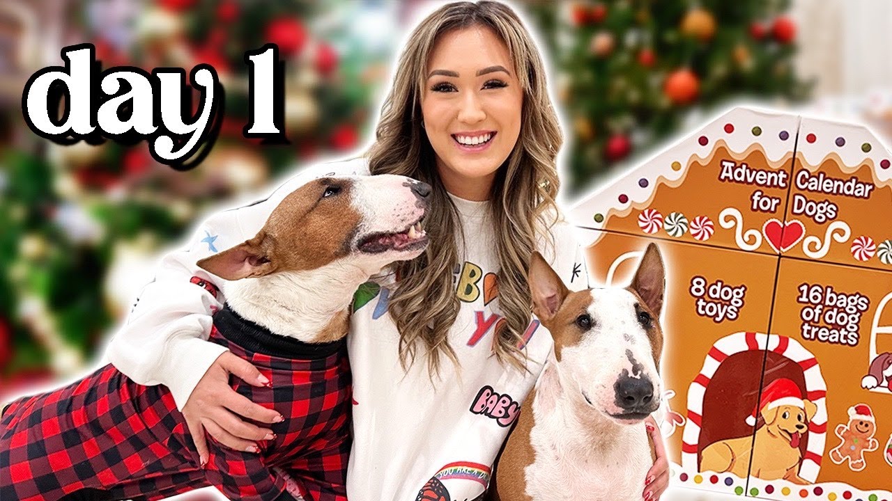 Decorating 🎄, *THE* Advent Calendar & Holiday Party! | VLOGMAS DAY 1