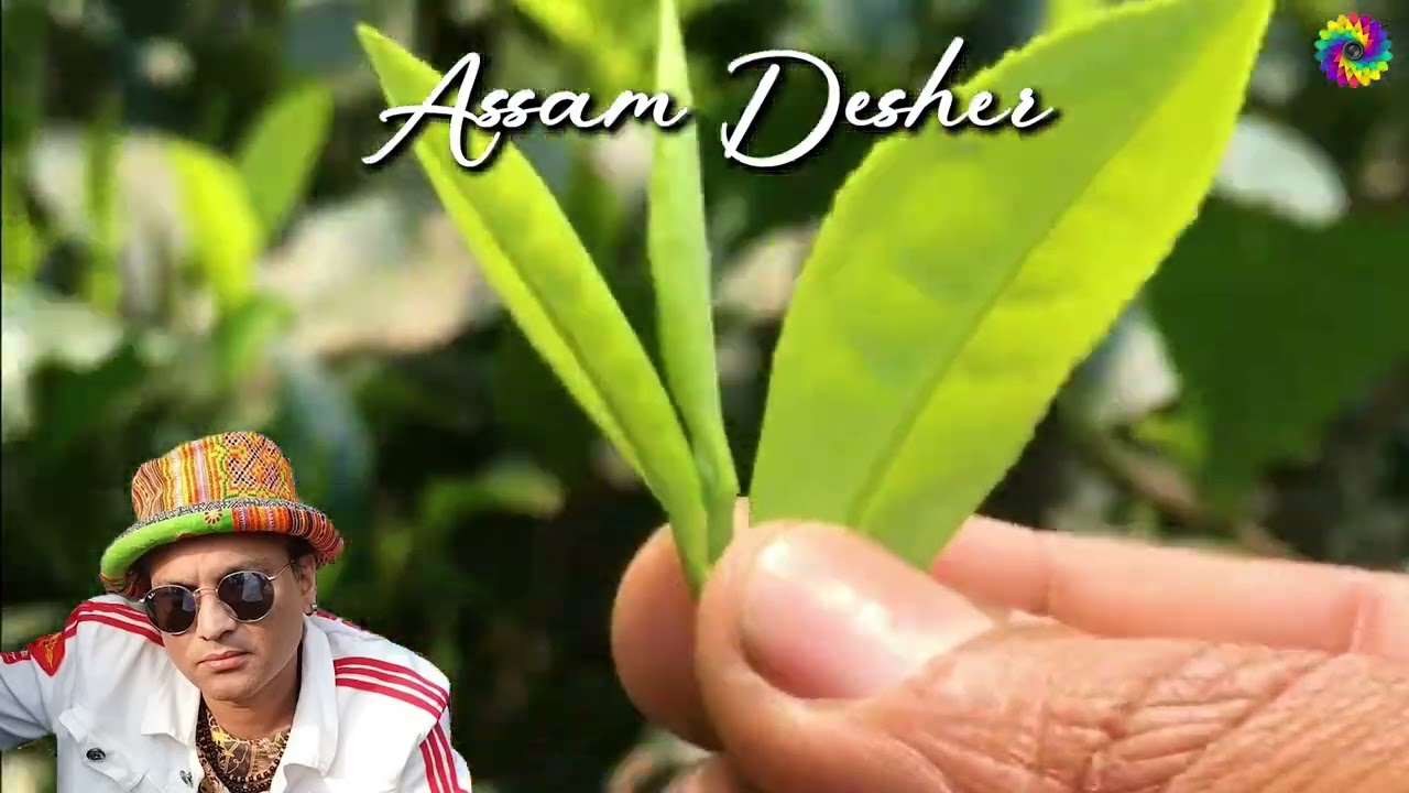 Assam Desher - Zubeen Garg | Zubeen Garg Asamese Song | Assam Tea Garden