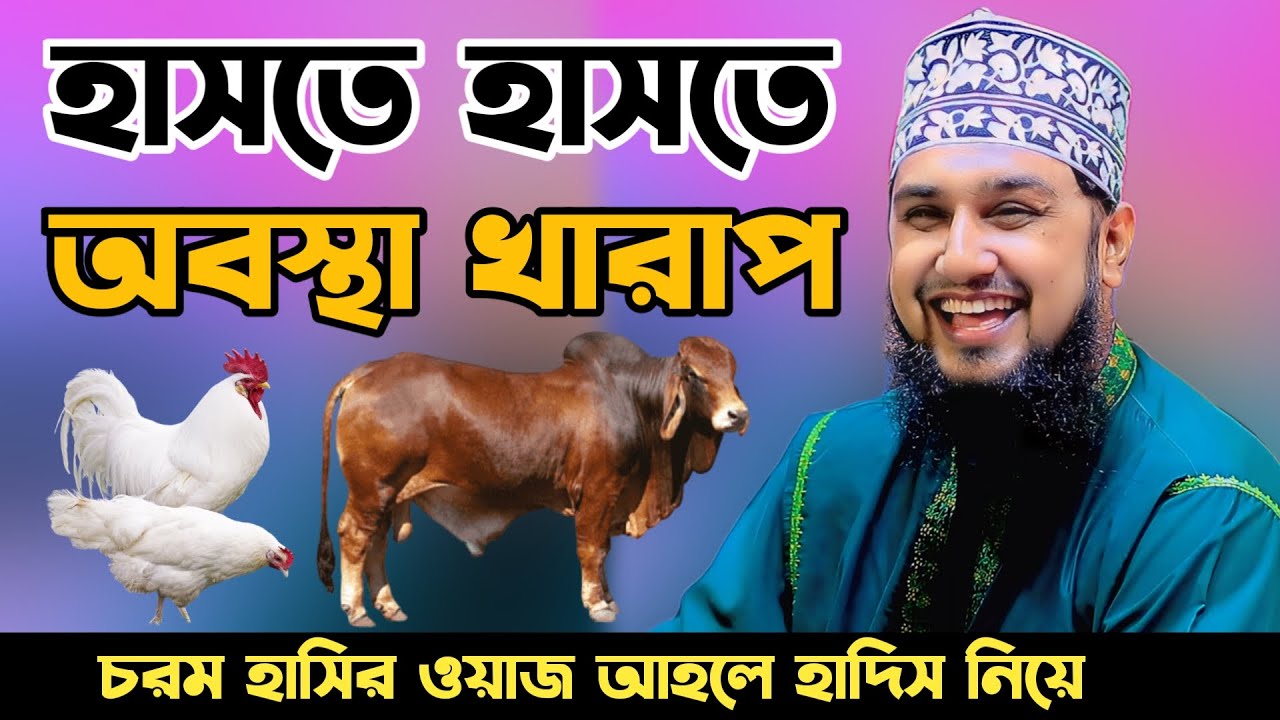 হাসতে হাসতে অবস্থা খারাপ😆😆হাসানুর রহমান হোসাইন নক্সেবন্দী😆😆Hasanur rahman hussain naqshabandi