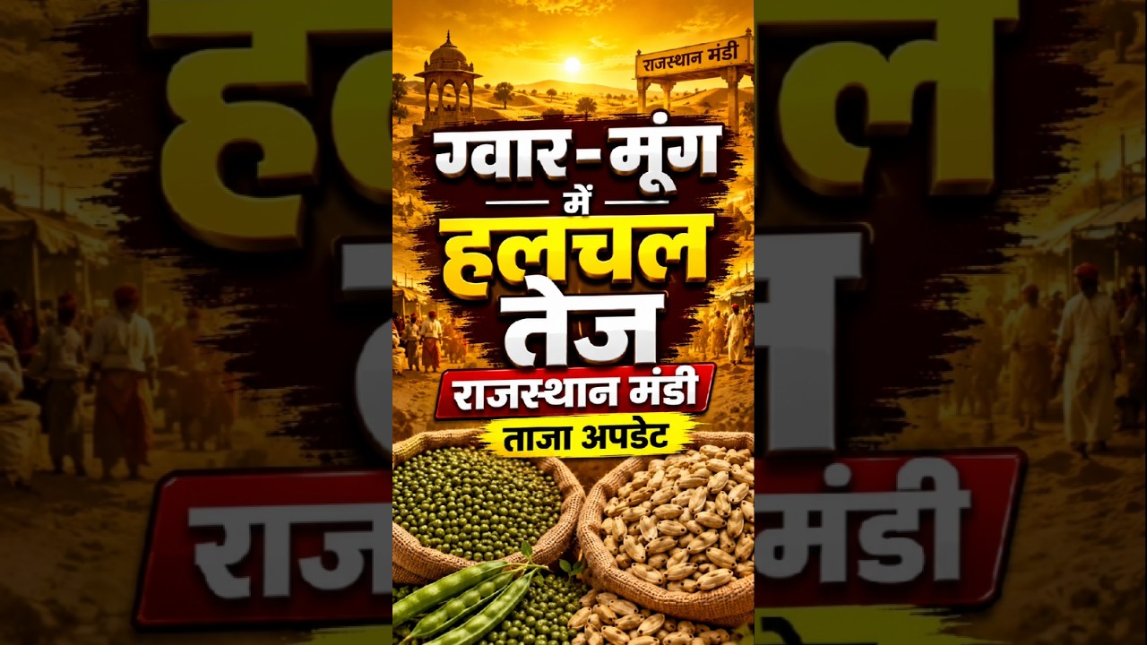 गवार मूंग में हलचल तेज आज मत बेचो