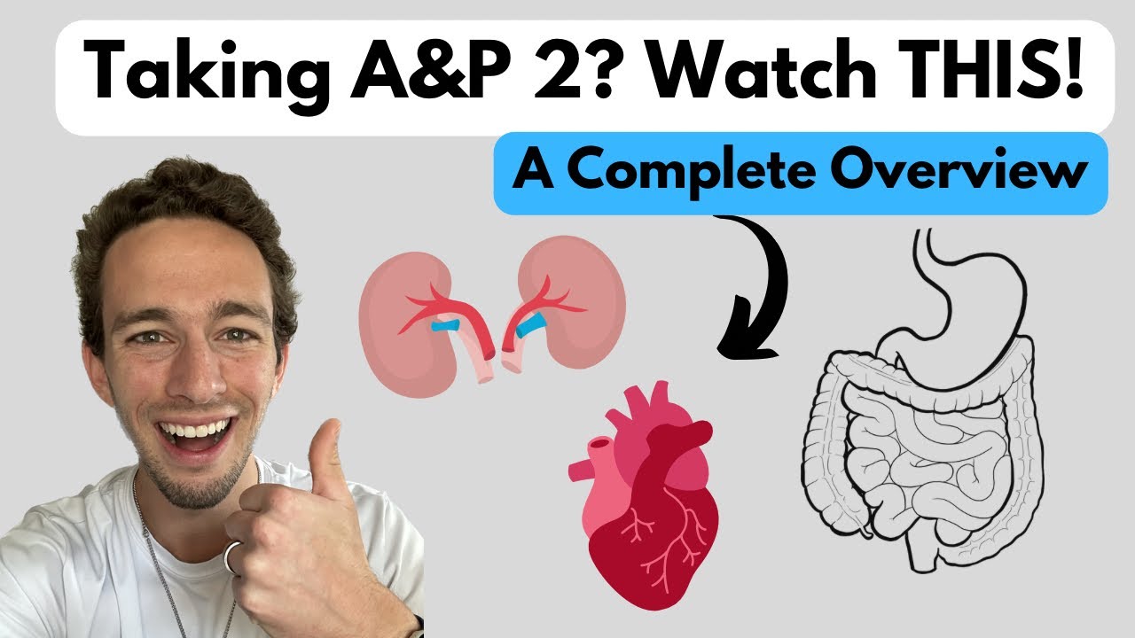 Anatomy & Physiology 2 | ENTIRE Course Explained in ONE Video!