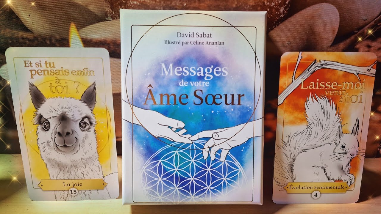⭐️ L'oracle messages de votre Âme sœur de David Sabat ⭐️