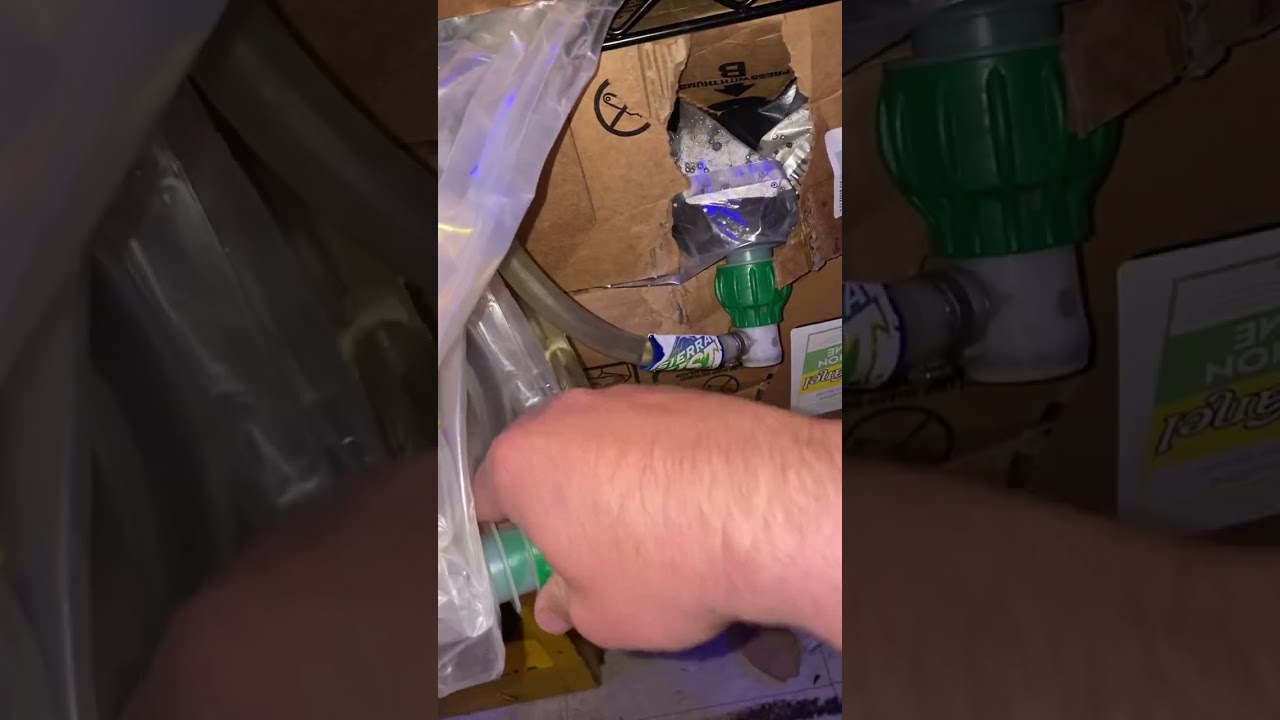 Changing bag in box soda