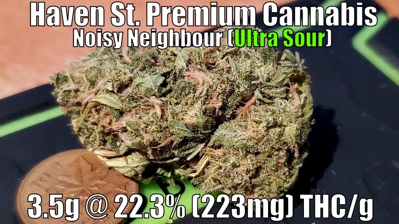 Haven St. Premium - Noisy Neighbour Unboxing Review - 3.5g @ 22.3% (223mg) THC/g (+Extreme Closeups)