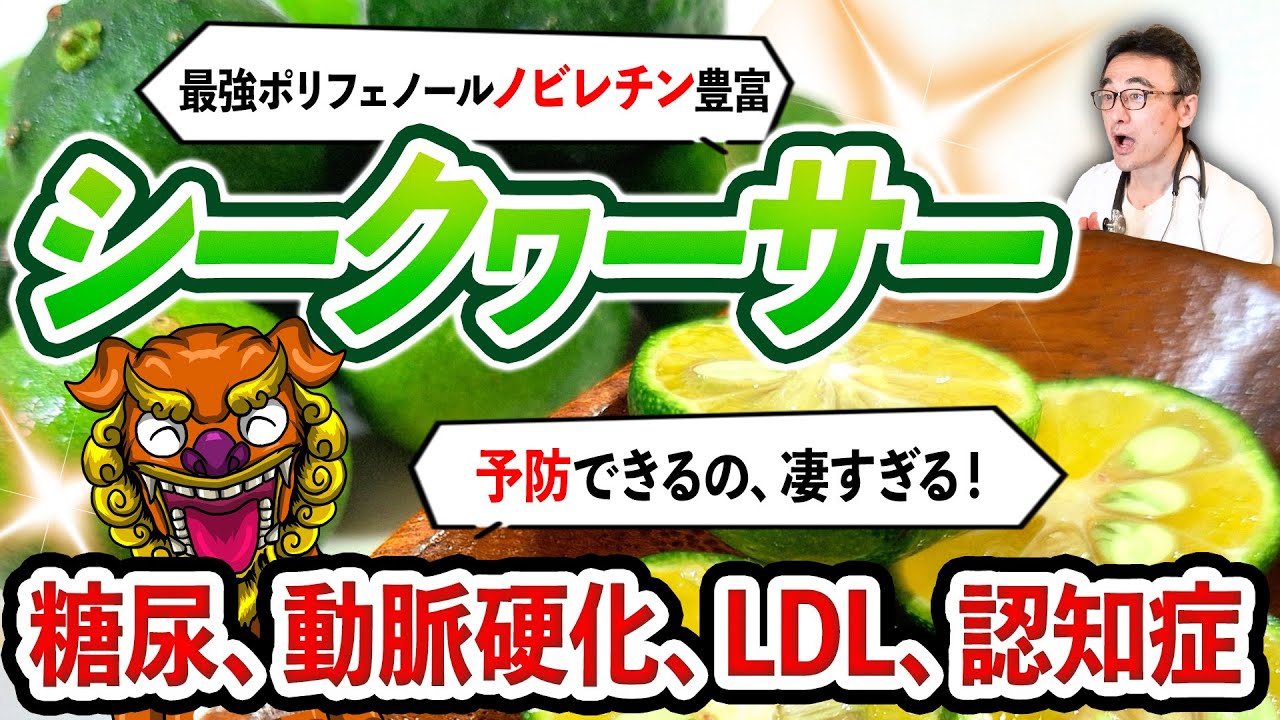 【シークヮーサー医師解説】認知症や生活習慣病を改善🍋‍🟩ポリフェノール：ノビレチンの物凄い効果とは？