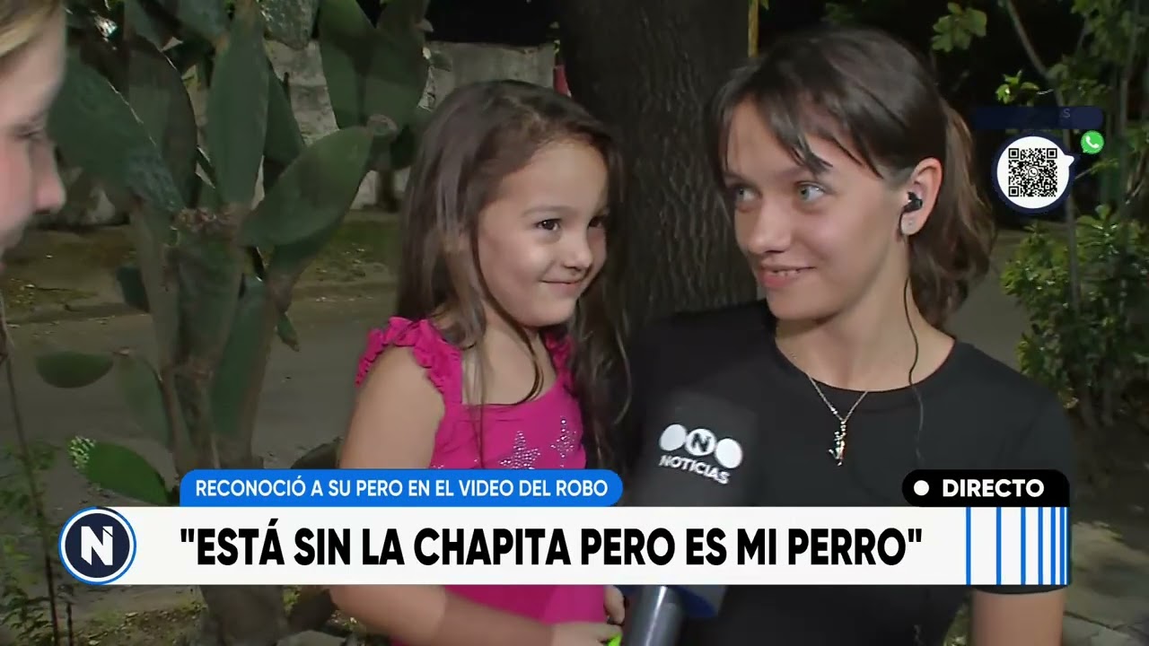 Reconoció a su perro perdido en el video de un robo | TELEFE ROSARIO