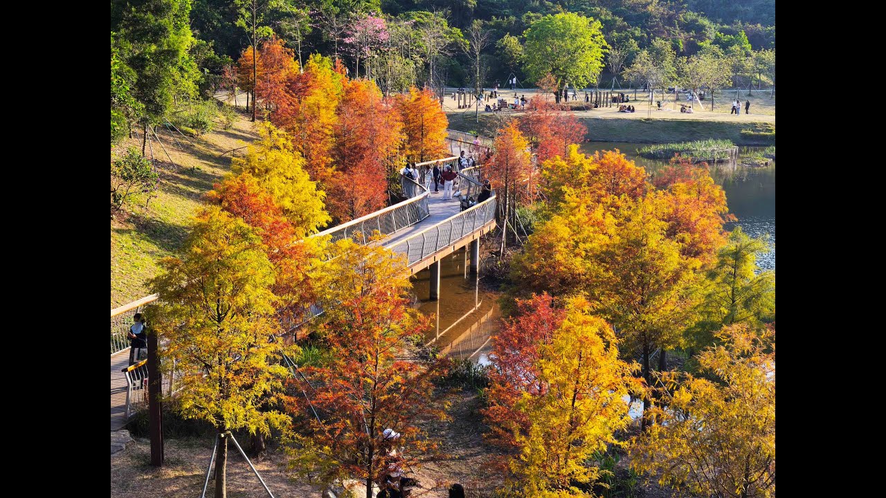 深圳田心頭陂公園