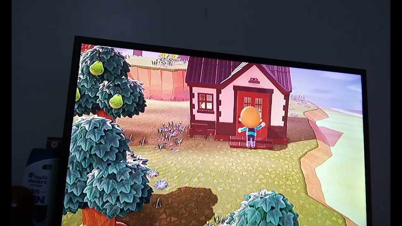 Animal Crossing New Horizons [#029] (DAY 29, JOB 18: MAX IS HURT!! OH NO!!)