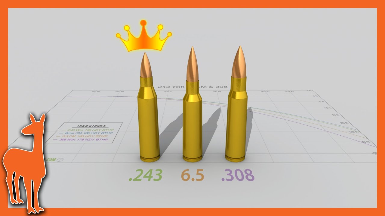 Why .243 Winchester is still my favorite cartridge | 243 Win vs 6mm Creedmoor 6.5 Creedmoor 308 Win