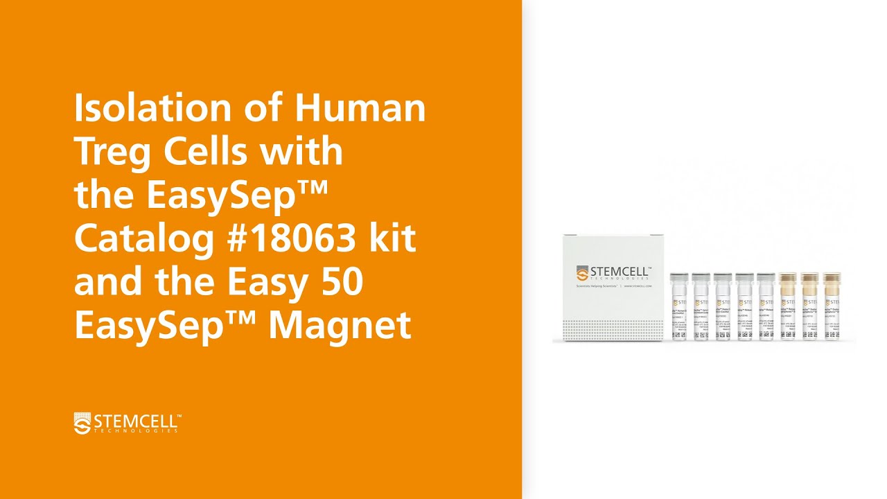 How to Isolate Human Regulatory T Cells (Tregs) Using the Easy 50 EasySep™ Magnet