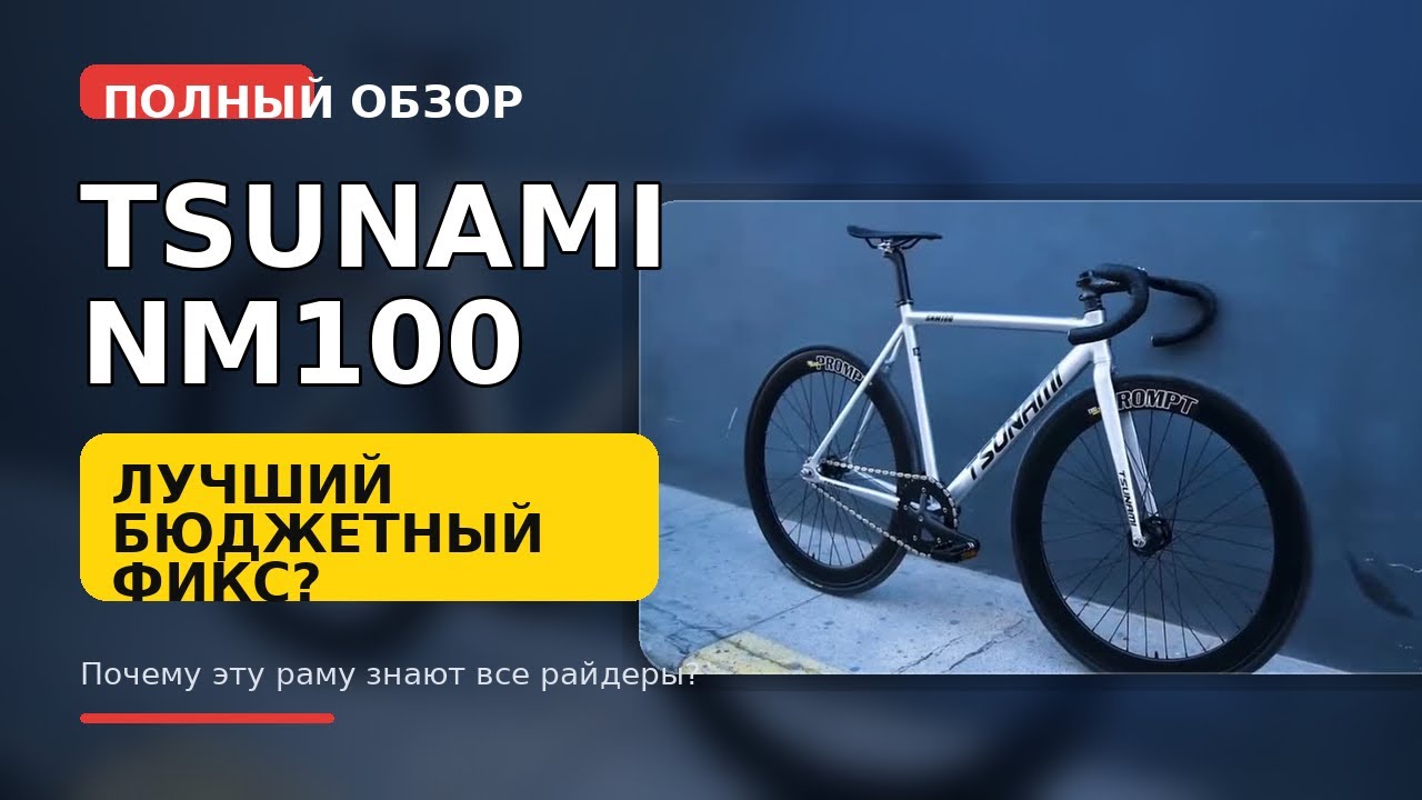 Почему Tsunami SNM100 &mdash; лучший бюджетный фикс? Полный обзор
