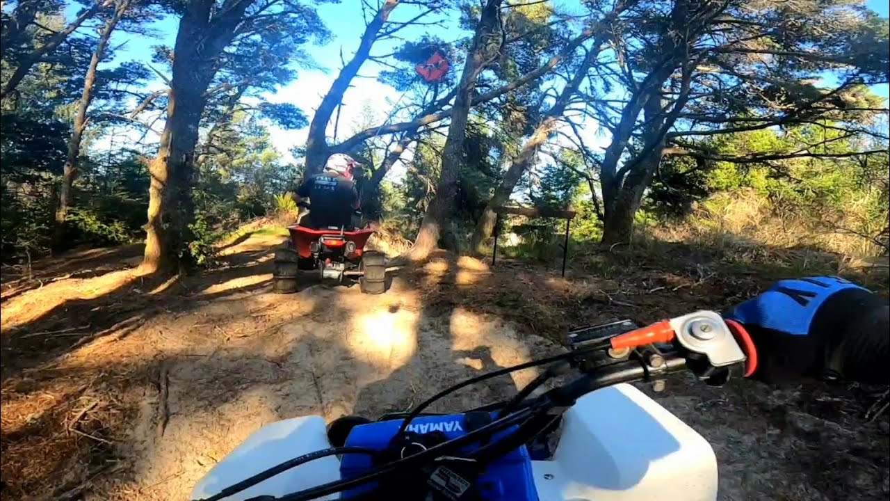 (Camera 2) From The Beach To New Trails! Florence, OR 2-4-26