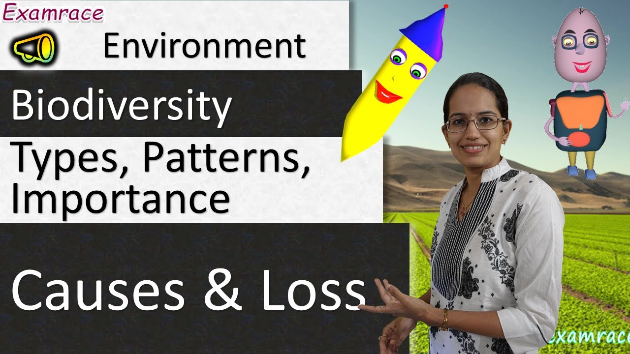 Biodiversity: Types, Patterns, Importance, Causes and Loss