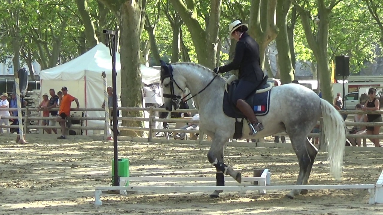 02.07.2016 Equitation de Travail - Beaucaire - Maniabilité - Alexia et Oboe