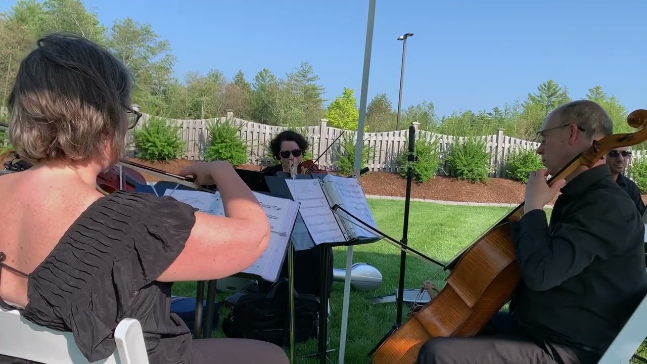If I Could Fly - One Direction - by Strings for All Occasions and Kibar Moussoba