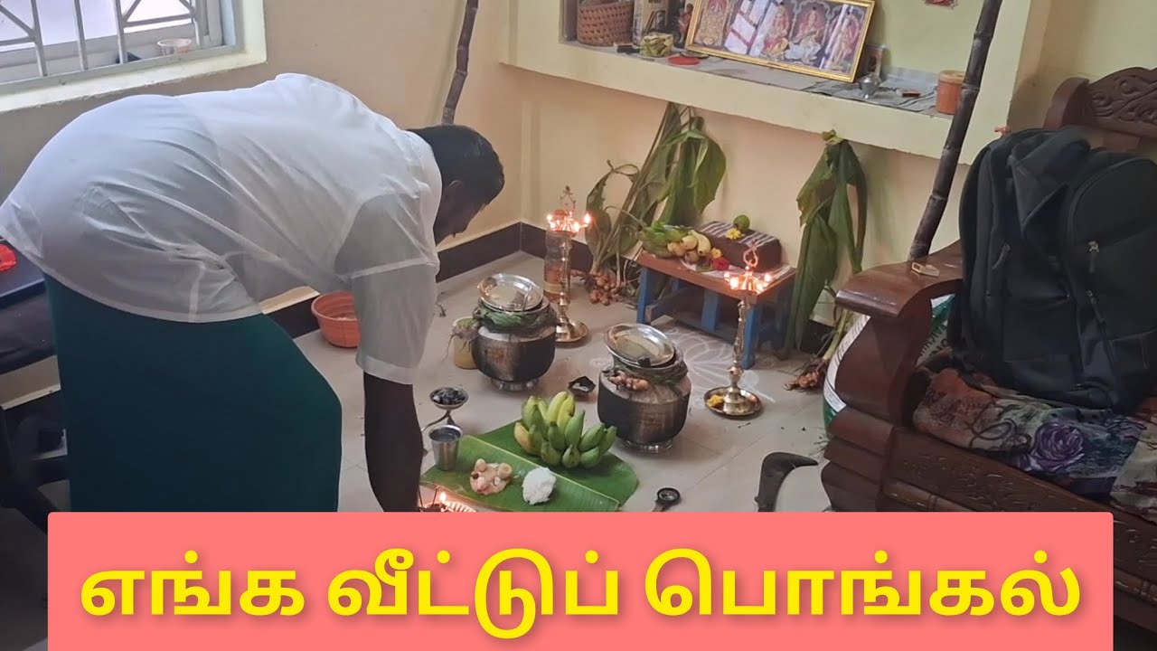 எங்க வீட்டுப் பொங்கல்/Pongal celebration in tamil