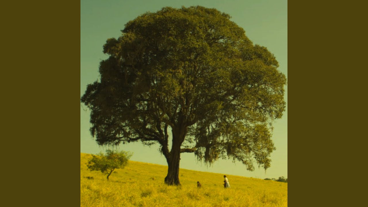 Ciclos da Vida