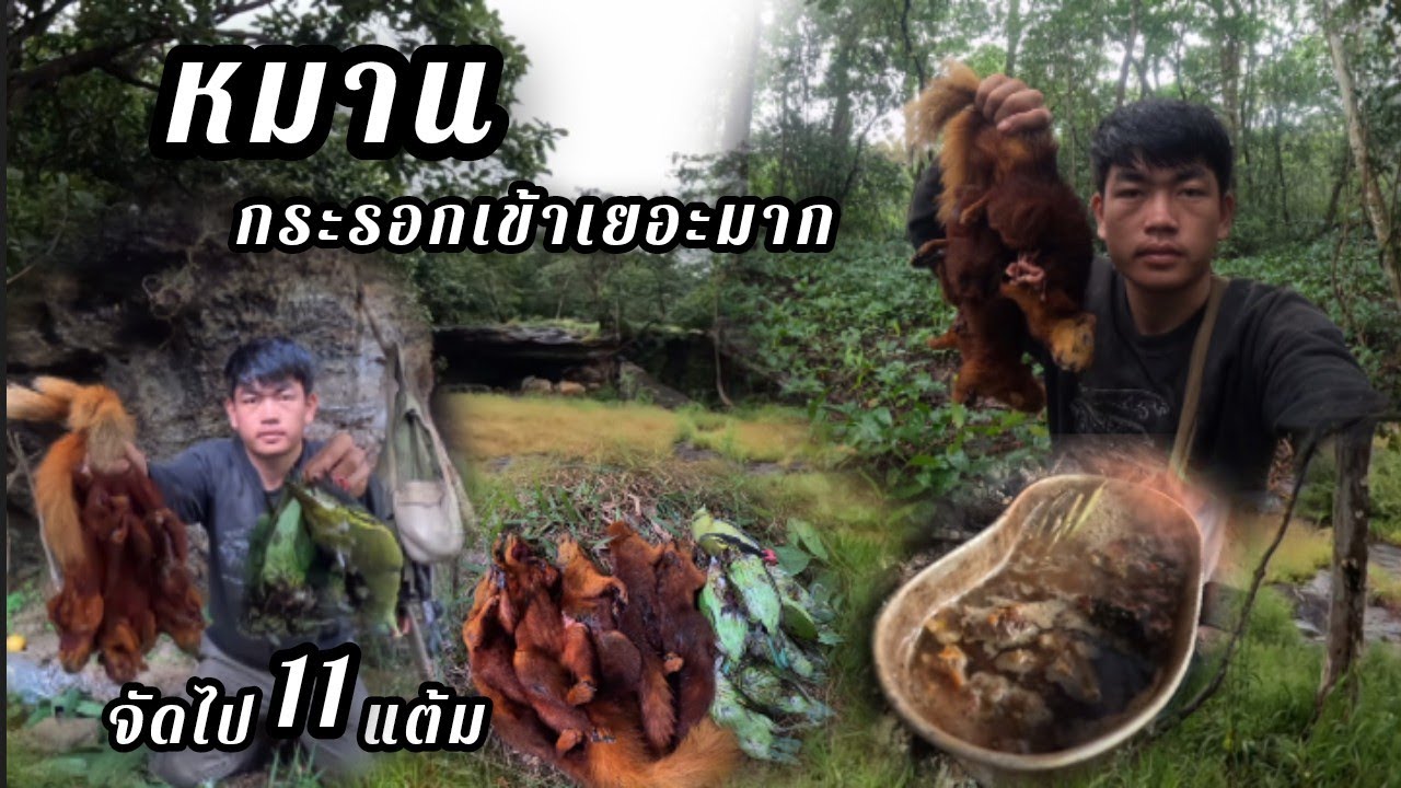 ใช้ชีวิตในป่า หาของป่าได้เยอะเลยวันนี้21 กันยายน ค.ศ. 2025