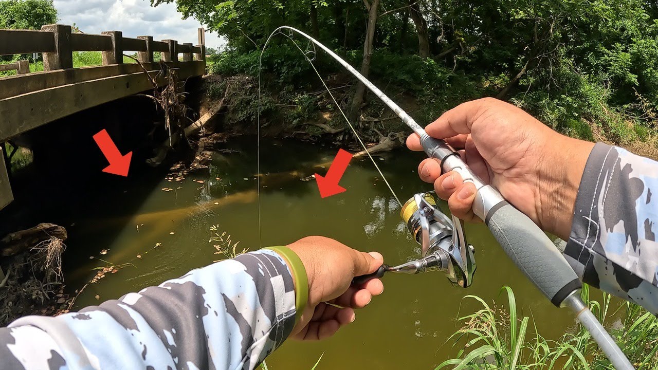 Fishing Under a BRIDGE for HUNGRY Panfish!