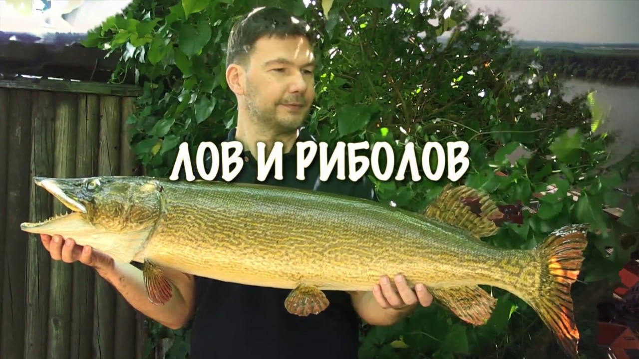 Preparator Filip Knežević u emisiji 