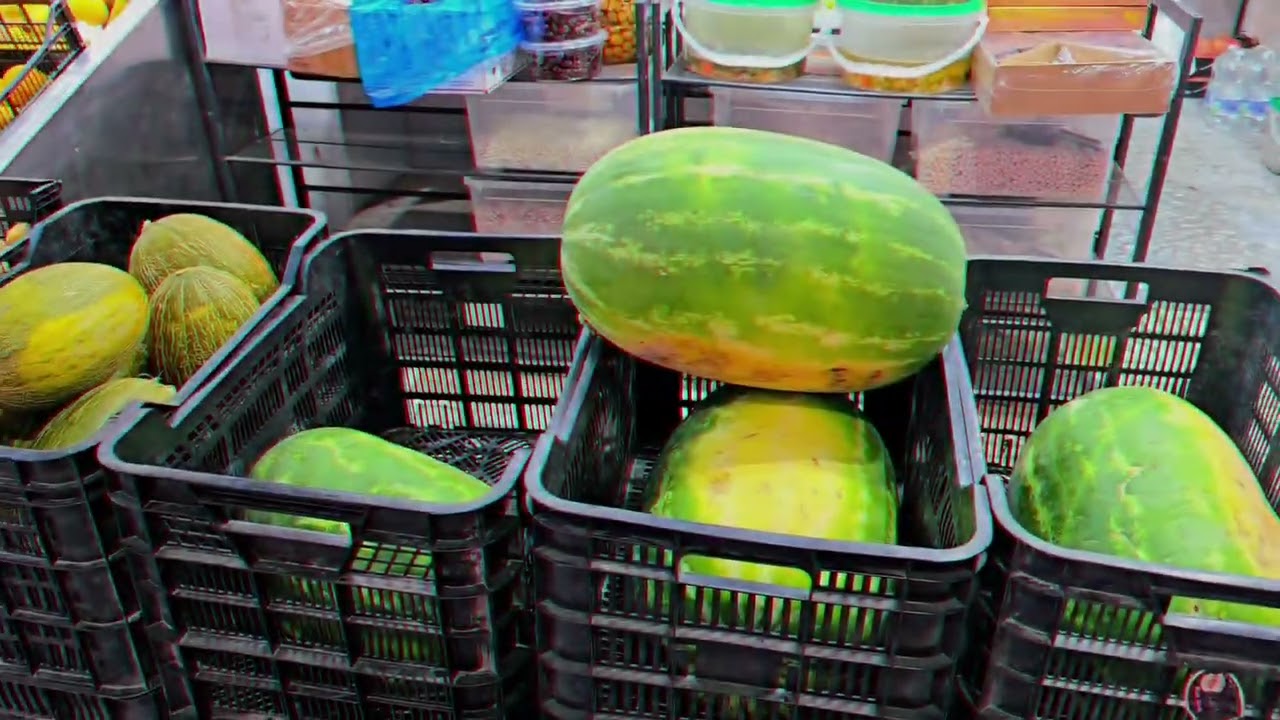 Vacaciones en Cádiz 2025