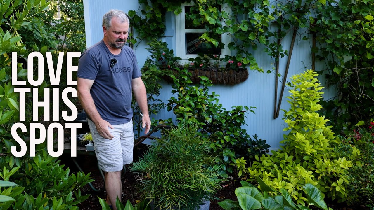 BIG GARDEN TOUR - P4 - Love the area around the shed!