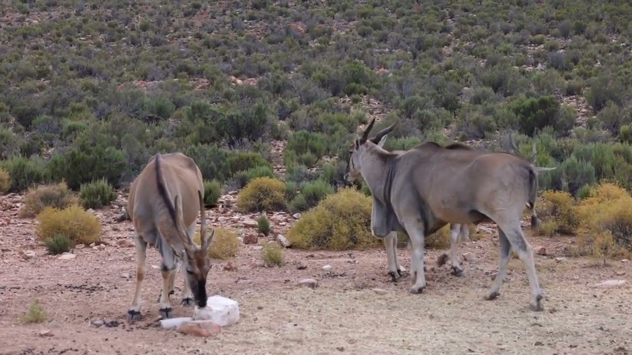 Top-10 places to visit in Chipinge for travelers