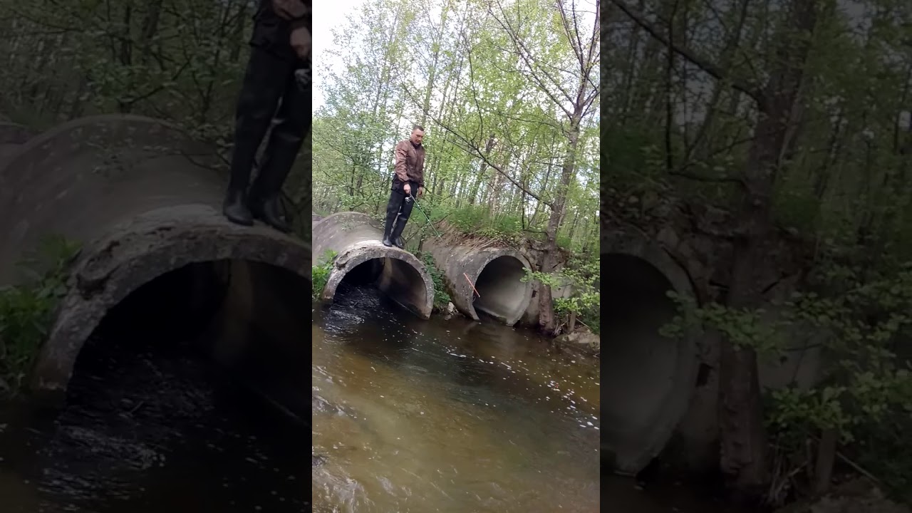 Рыбалка на реке Колпь. Плотина село Денисово