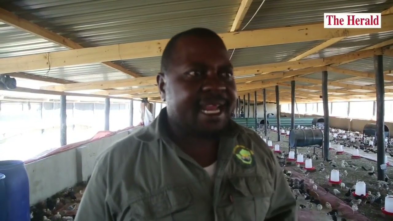Zimbabwe Free Range Poultry Association (ZFRPA)