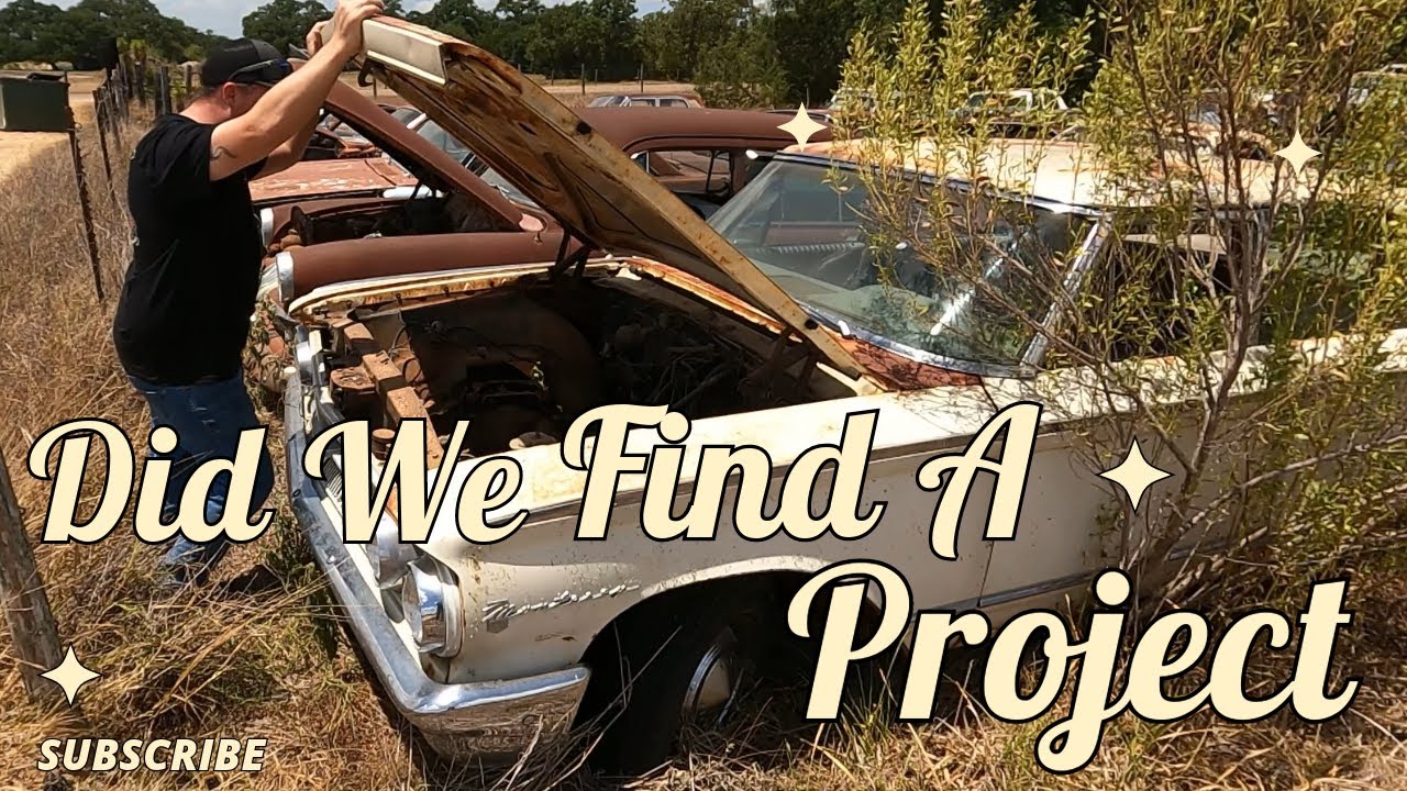 Daley Auto Salvage in TEXAS! So much to see.