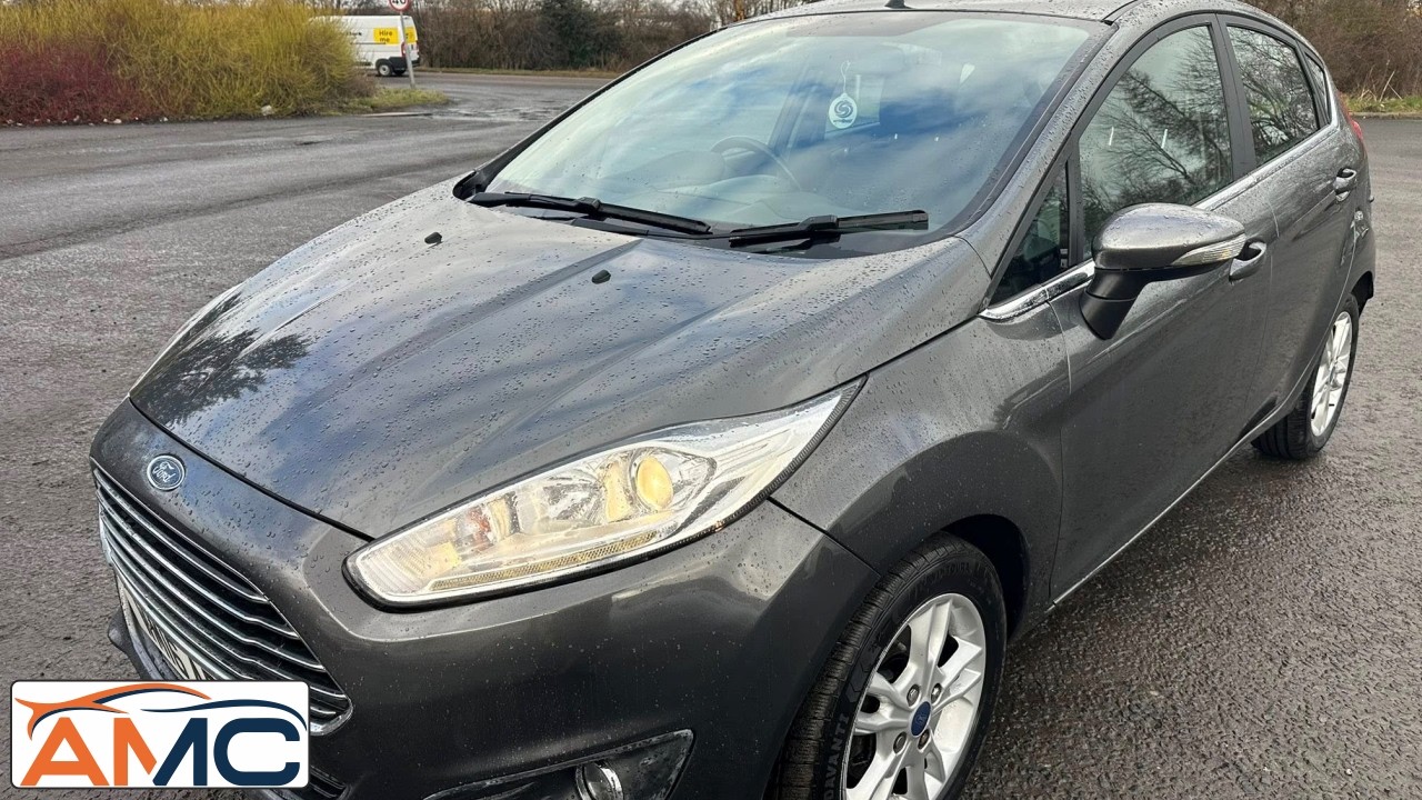 Ford Fiesta 1.0 (2016) - WM16ARZ