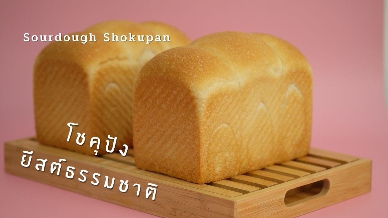 ลองทำ โชคุปังยีสต์ธรรมชาติ นุ่มมาก ไม่มีไข่ | How to Sourdough Shokupan