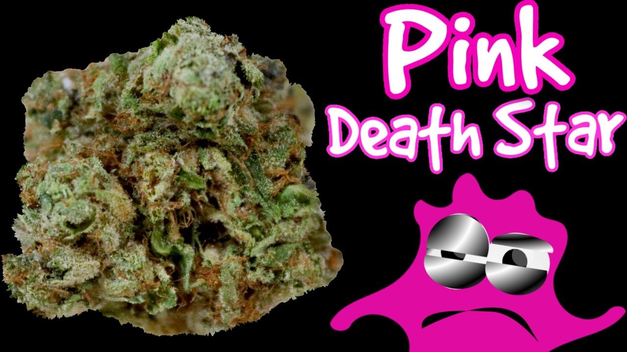 Pink Death Star OFFICIAL Strain Review