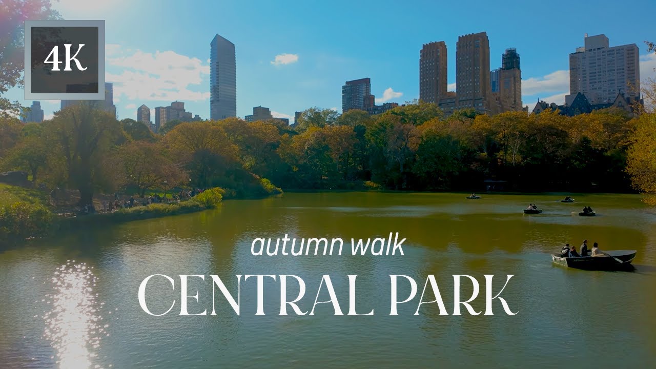 Central Park Incredible Fall Foliage | Peaceful Afternoon Walk in NYC | 4K