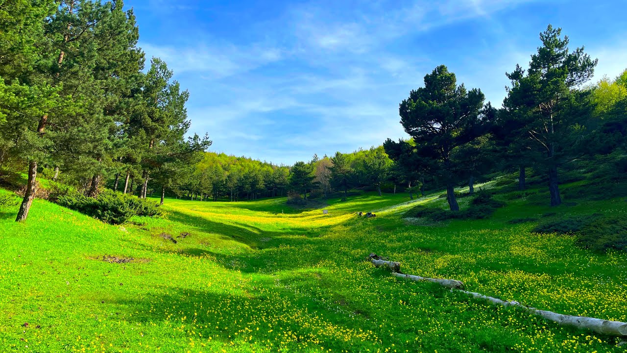 TOPÇAM YAYLASI TANITIM - TOKAT (Özel Görüntüler - Mesire Alanı - Yayla Evleri - Akarsular .. )