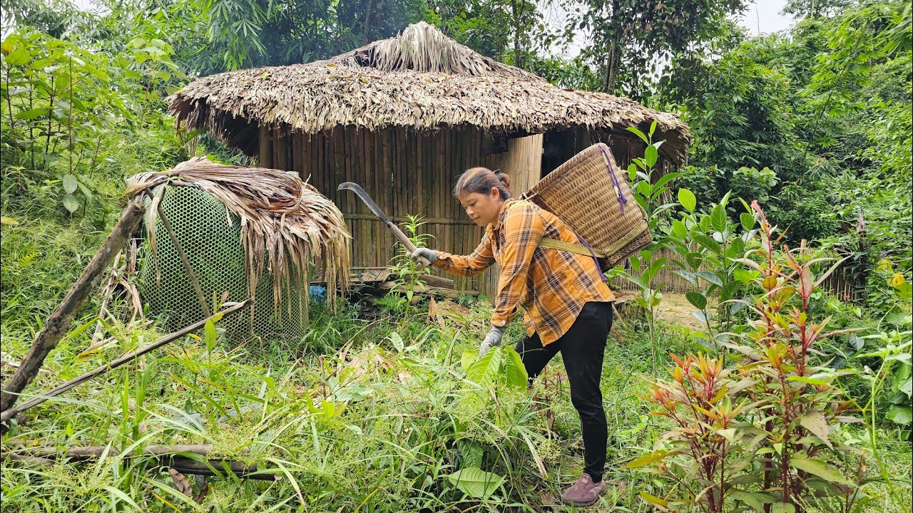 Young girl turns abandoned house into temporary shelter Ly Phuc Ca