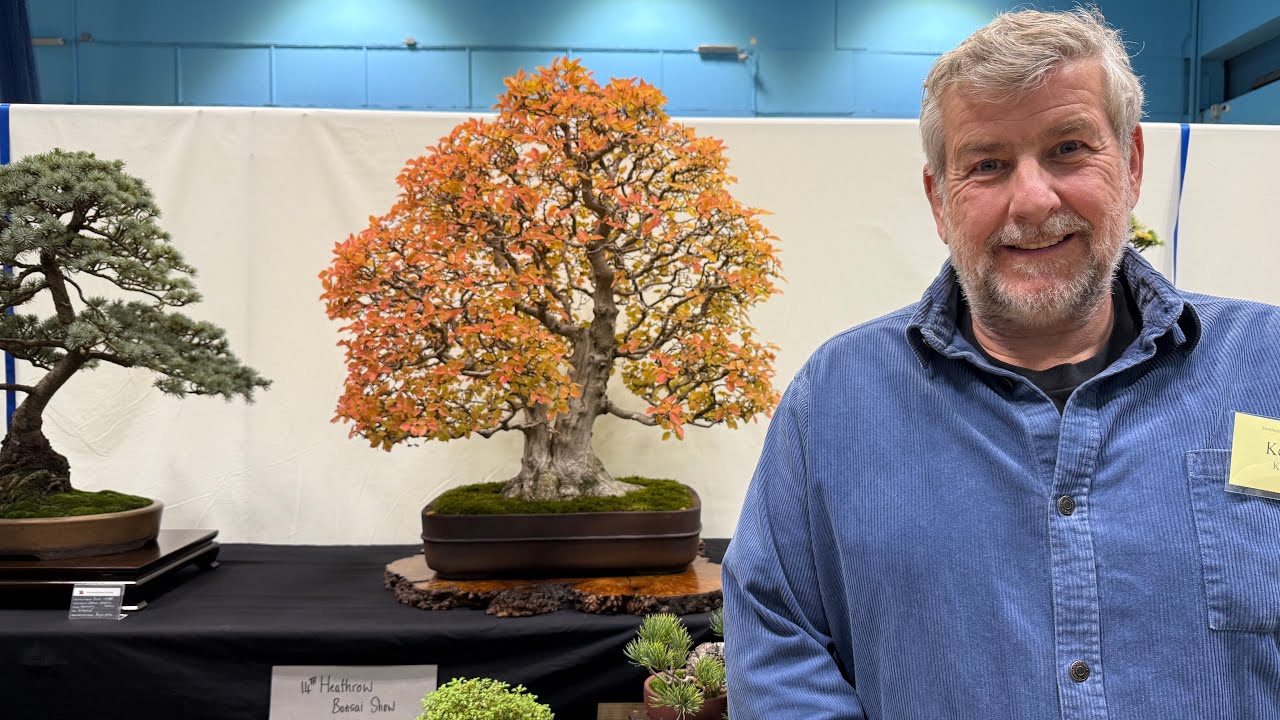 HEATHROW BONSAI SHOW (OFFICIAL VIDEO)