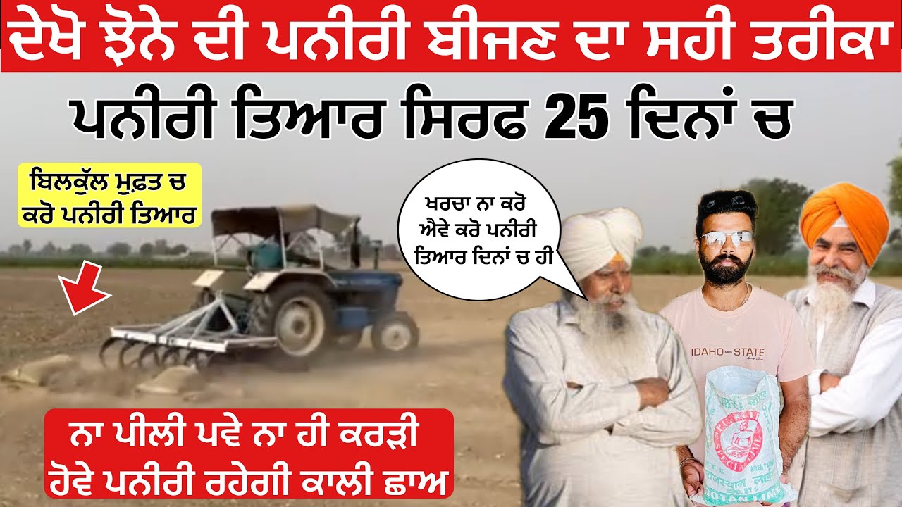 ਦੇਖੋ ਝੋਨੇ ਦੀ ਪਨੀਰੀ ਬੀਜਣ ਦਾ ਸਹੀ ਤਰੀਕਾ ਨਾ ਪਨੀਰੀ ਪੀਲੀ ਪਵੇ ਨਾ ਹੀ ਕਰੜੀ ਹੋਵੇ ਪਨੀਰੀ ਤਿਆਰ ਦਿਨਾਂ ਚ ਹੀ