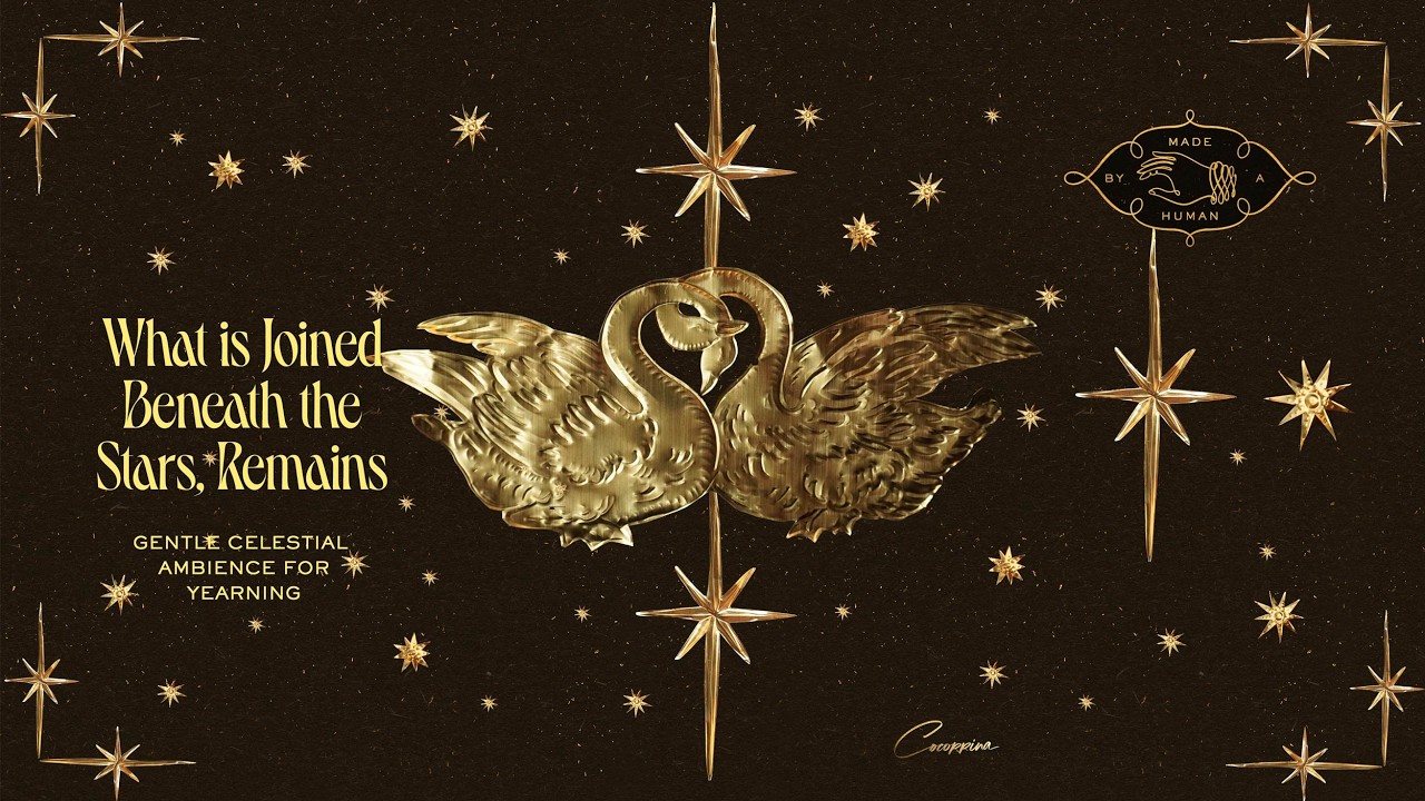 The Swan Lovers | Celestial Night Ambience for Yearning