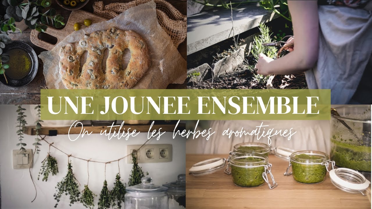 VLOG Slow Life | On utilise et on conserve les herbes aromatiques du jardin