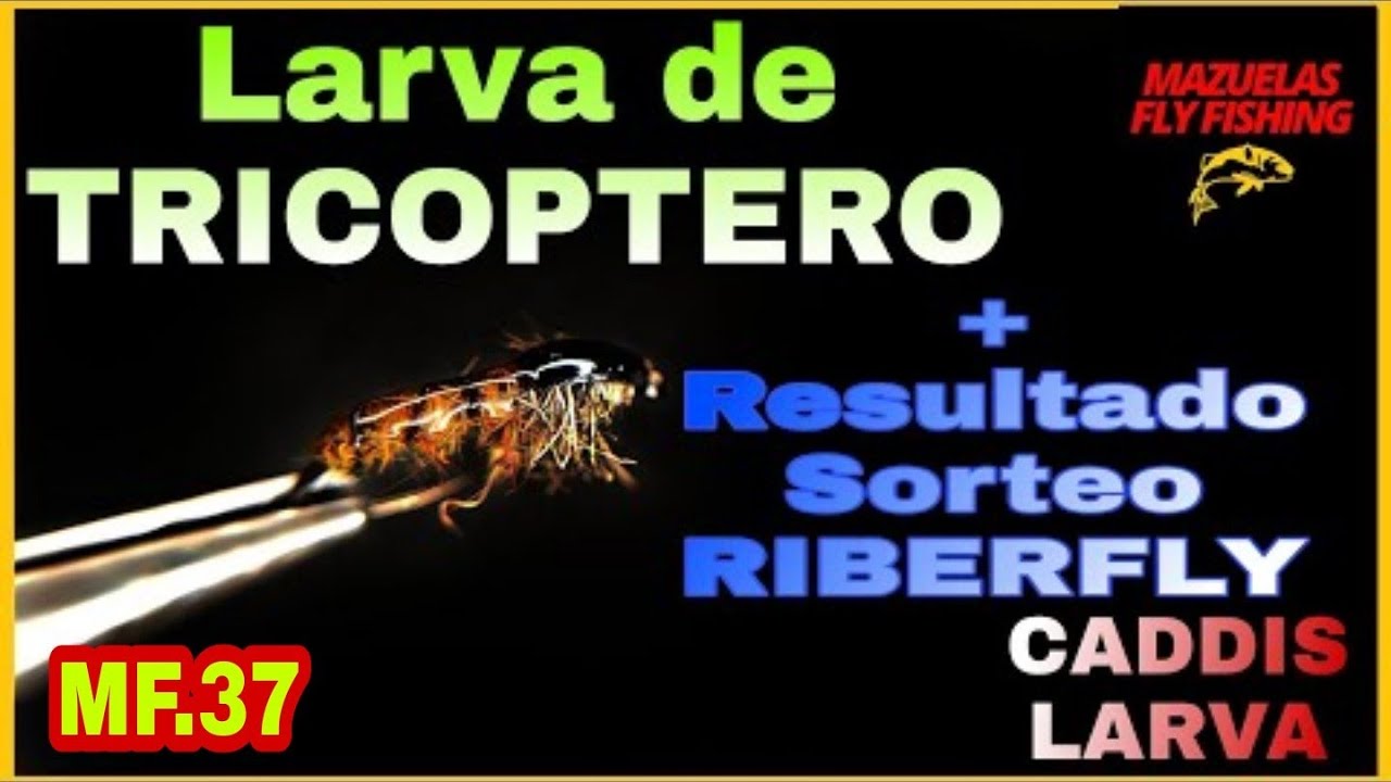 Montaje larva de TRICOPTERO + GANADORES SORTEAZO RIBERFLY🎁